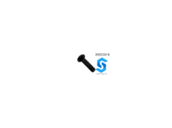 300C10-6 | SCREW | EASTMAN